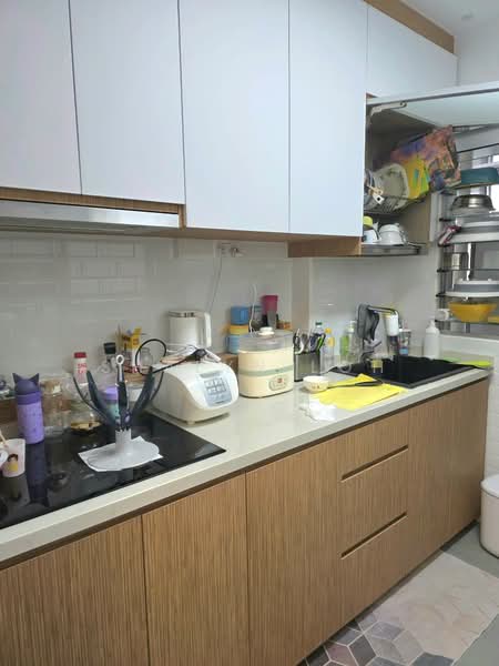 211B Punggol Walk, 211B Punggol Walk, 2 Bedrooms, 721 sqft, HDB Flat For Sale, by Shalyn Loh, 500112736 - Kitchen - PropertyGuru.com.sg