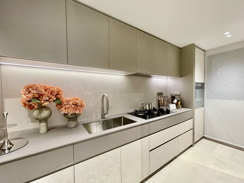 Union Square Residences, 28 Havelock Road,, 5 Bedrooms, 2,476 sqft, Condominium For Sale, by Elaine Goh, 500112844 - Kitchen - PropertyGuru.com.sg