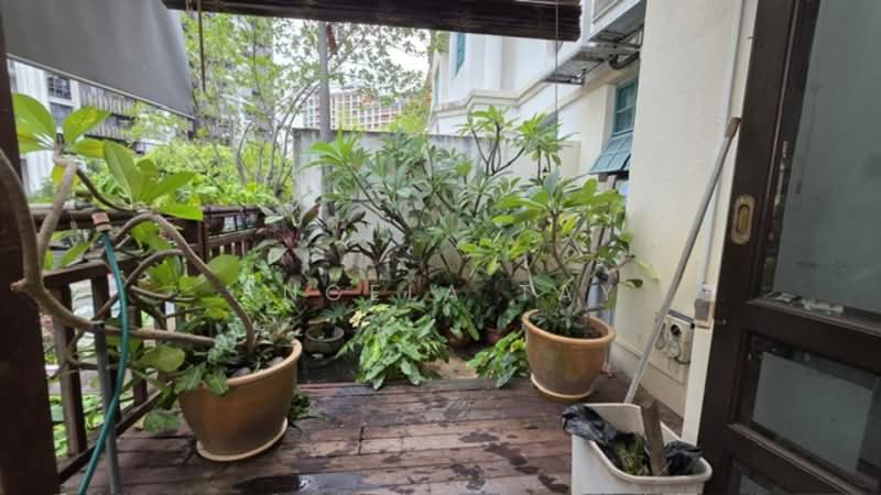 Jalan Punai, Jalan Punai, 8 Bedrooms, 4,965 sqft, Terraced House For Sale, by Angela Tay, 500112847 - Garden - PropertyGuru.com.sg