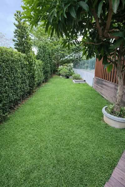 Chuan Garden, Chuan Garden, Hougang / Punggol / Sengkang, 6 Bedrooms, 4,800 sqft, Detached House For Sale, by Gary Chong, 500112953 - Garden - PropertyGuru.com.sg