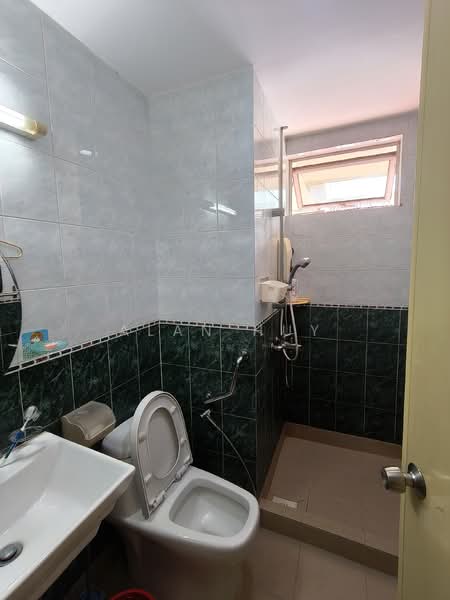 Thrift Drive, Thrift Drive, Room Rental, 300 sqft, Terraced House For Rent, by Alan Huy, 500113023 - Bathroom - PropertyGuru.com.sg