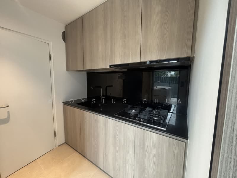 Brand new 3.5 sty CT in D15！, , 7 Bedrooms, 4,686 sqft, Corner Terrace For Sale, by Aloysius Chua, 500113030 - Kitchen - PropertyGuru.com.sg