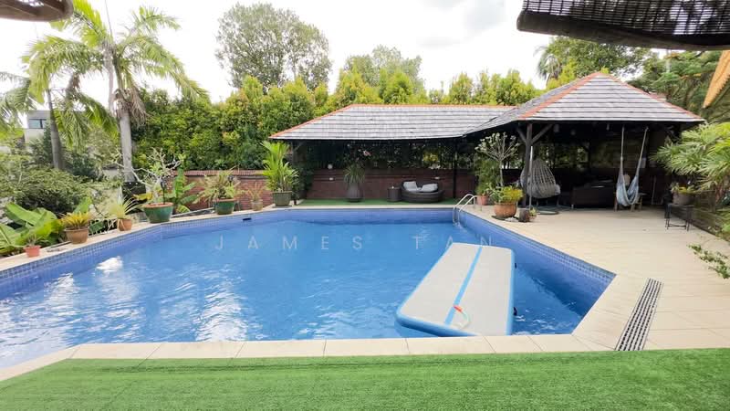 Holland Grove, 3 Holland Grove View, 5 Bedrooms, 5,000 sqft, Bungalow House For Rent, by James Tan, 500113378 - Pool - PropertyGuru.com.sg