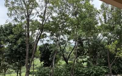 For Sale - Faber Crest