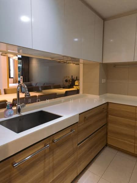 WaterScape @ Cavenagh, 65 Cavenagh Road, 3 Bedrooms, 1,302 sqft, Apartment For Sale, by RON PHIPPS, 500113839 - Kitchen - PropertyGuru.com.sg