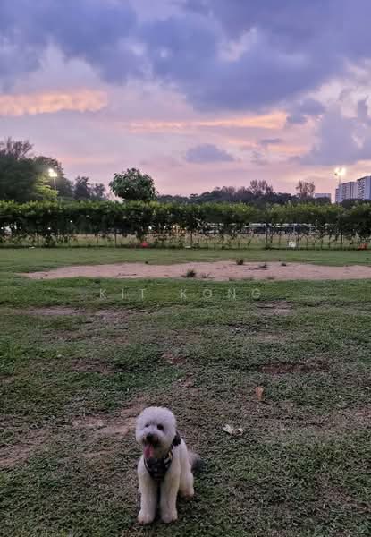 Claydence, 97 Still Road, 3 Bedrooms, 1,076 sqft, Apartment For Rent, by Kit Kong, 500113933 - Exterior - PropertyGuru.com.sg