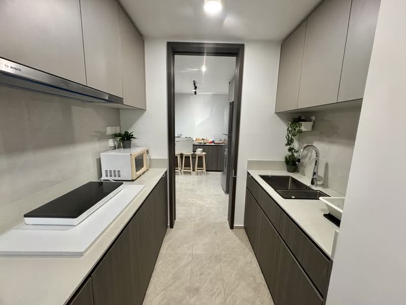 Piccadilly Grand, 1 Northumberland Road, Room Rental, 90 sqft, Condominium For Rent, by Susan Lai, 500113938 - Kitchen - PropertyGuru.com.sg