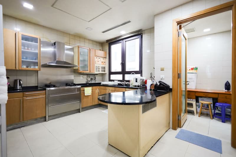 Ardmore Park, 15 Ardmore Park, 4 Bedrooms, 2,885 sqft, Condominium For Sale, by Ivan Lam, 500113945 - Kitchen - PropertyGuru.com.sg