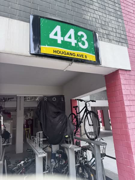 443 Hougang Avenue 8, 443 Hougang Avenue 8, Room Rental, 150 sqft, HDB Flat For Rent, by Carol Chen, 500114069 - PropertyGuru.com.sg