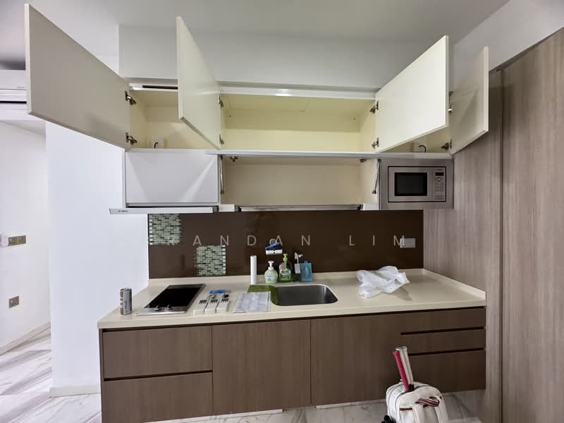 The Viridian, 6 Jalan Ampas, 1 Bedroom, 527 sqft, Condominium For Rent, by Brandan Lim, 500114313 - Kitchen - PropertyGuru.com.sg