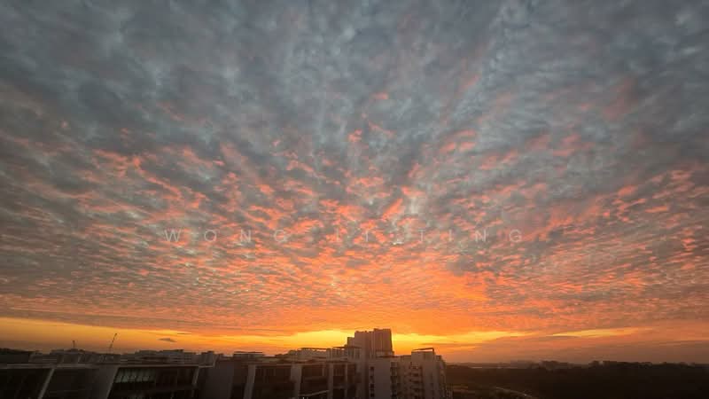 Blossom Residences, 30 Segar Road, 3 Bedrooms, 1,690 sqft, Executive Condominium For Sale, by Wong Li Ting, 500114631 - PropertyGuru.com.sg