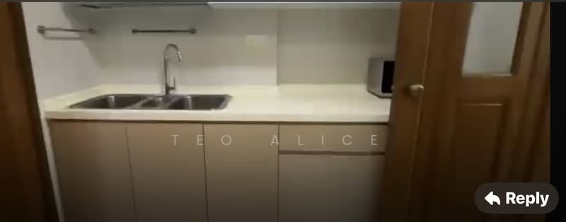 Spring Grove, 53B Grange Road, 3 Bedrooms, 1,389 sqft, Condominium For Sale, by Teo Alice, 500114829 - Kitchen - PropertyGuru.com.sg