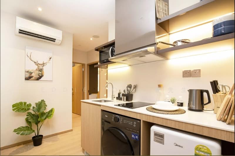 Coliwoo Orchard - Latest Promo with Massive Discounts Up To $800 Per Month, Orchard / River Valley, Studio, 240 sqft, Apartment For Rent, by Eddie Tork 戴先生, 500114852 - Kitchen - PropertyGuru.com.sg