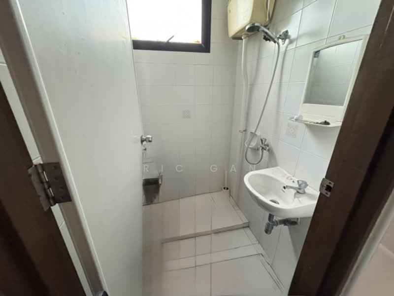 The Merasaga, 27 Jalan Merah Saga, 3 Bedrooms, 1,367 sqft, Condominium For Sale, by Eric Gan, 500115069 - Yard WC - PropertyGuru.com.sg