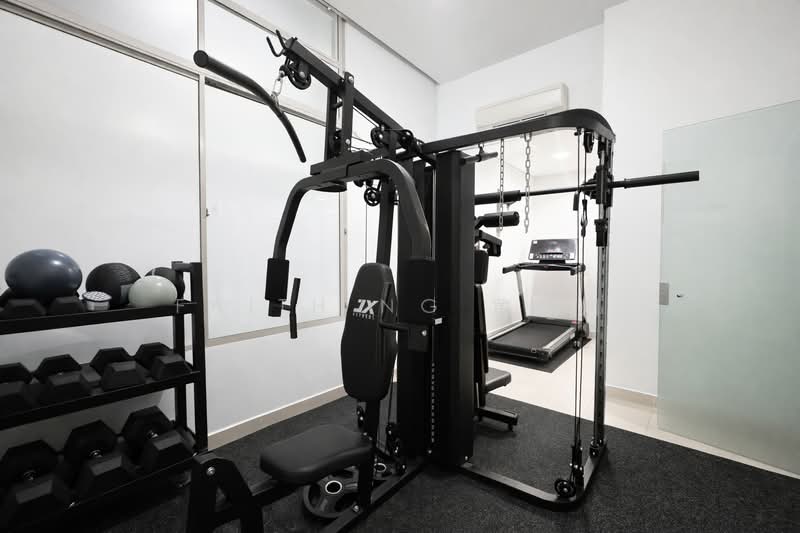 Paya Lebar Crescent, , 6 Bedrooms, 3,003 sqft, Terraced House For Sale, by Faith Ng 黄丽娴, 500115074 - Gym - PropertyGuru.com.sg