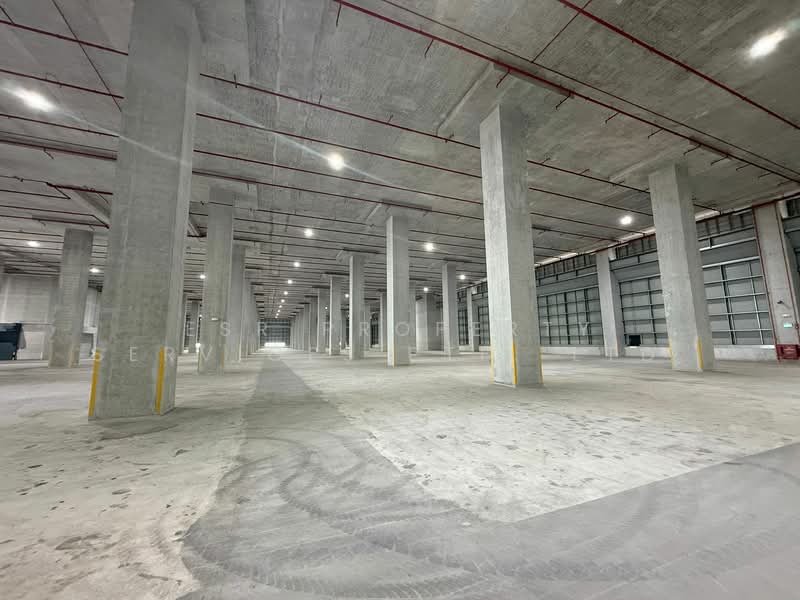 4 Pandan crescent, , 185,000 sqft, Warehouse For Rent, by Nicholas Lo, 500115114 - Interior - CommercialGuru.com.sg