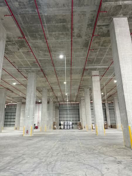 4 Pandan crescent, , 185,000 sqft, Warehouse For Rent, by Nicholas Lo, 500115114 - Interior - CommercialGuru.com.sg
