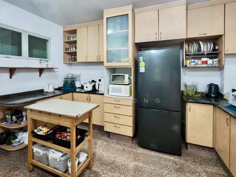 Dunearn Road Classic Semi-D 1km To MGS, Dunearn Road, Sian Tuan Avenue, Bukit Timah, 5 Bedrooms, 2,600 sqft, Semi-Detached House For Sale, by Bryan Ong, 500115357 - Kitchen - PropertyGuru.com.sg