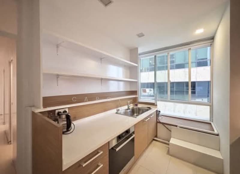 Scotts Highpark, 45 Scotts Road, 5 Bedrooms, 1,776 sqft, Condominium For Rent, by Carol Lin, 500115429 - Kitchen - PropertyGuru.com.sg