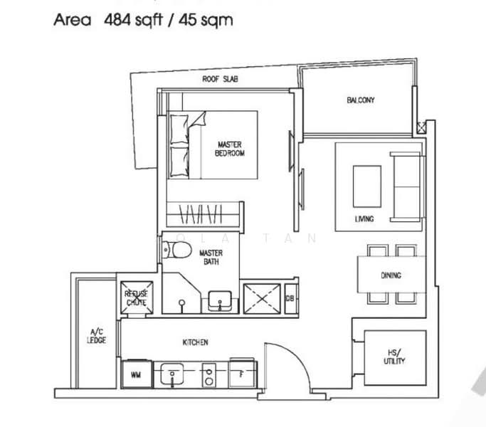 For Rent Skies Miltonia