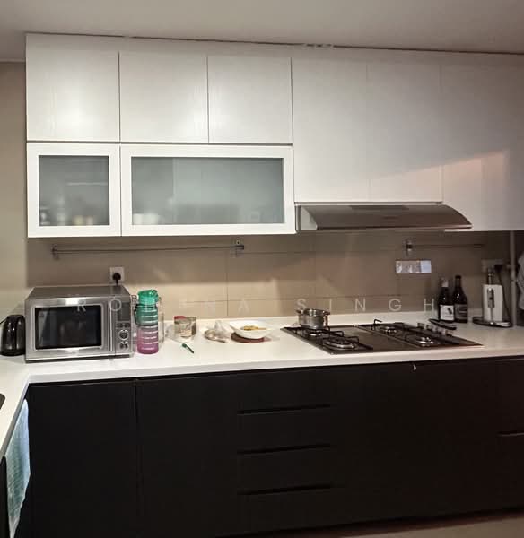 Leonie Gardens, 23 Leonie Hill, 4 Bedrooms, 2,540 sqft, Condominium For Sale, by Rohina Singh, 500115706 - Kitchen - PropertyGuru.com.sg