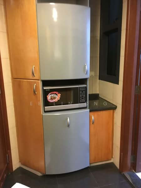 River Place, 60 Havelock Road, 3 Bedrooms, 2,302 sqft, Condominium For Rent, by Ee Lin Ong, 500115872 - Kitchen - PropertyGuru.com.sg