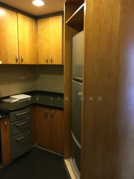 River Place, 60 Havelock Road, 3 Bedrooms, 2,302 sqft, Condominium For Rent, by Ee Lin Ong, 500115872 - Kitchen - PropertyGuru.com.sg