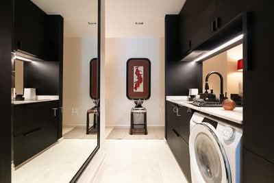 For Sale - Sycamore Tree