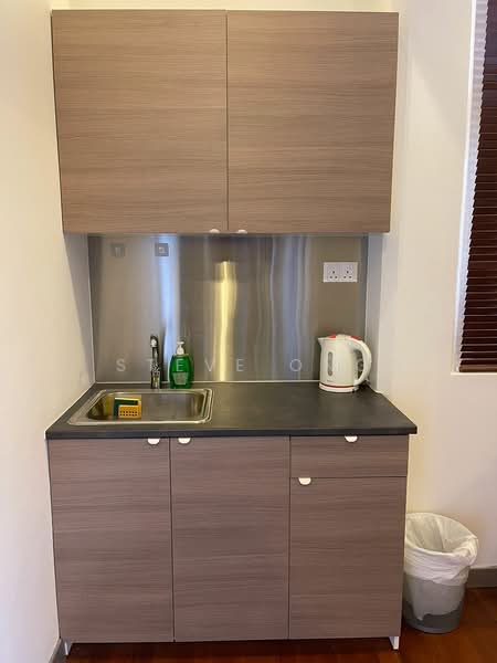 The Platinum, 46 Upper Cross Street, Studio, 450 sqft, Apartment For Rent, by Steve Ong, 500116083 - Kitchen - PropertyGuru.com.sg