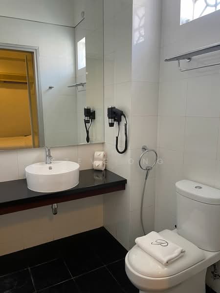 The Platinum, 46 Upper Cross Street, Studio, 450 sqft, Apartment For Rent, by Steve Ong, 500116083 - Bathroom - PropertyGuru.com.sg