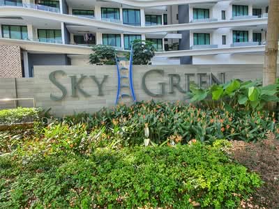 For Sale - Sky Green