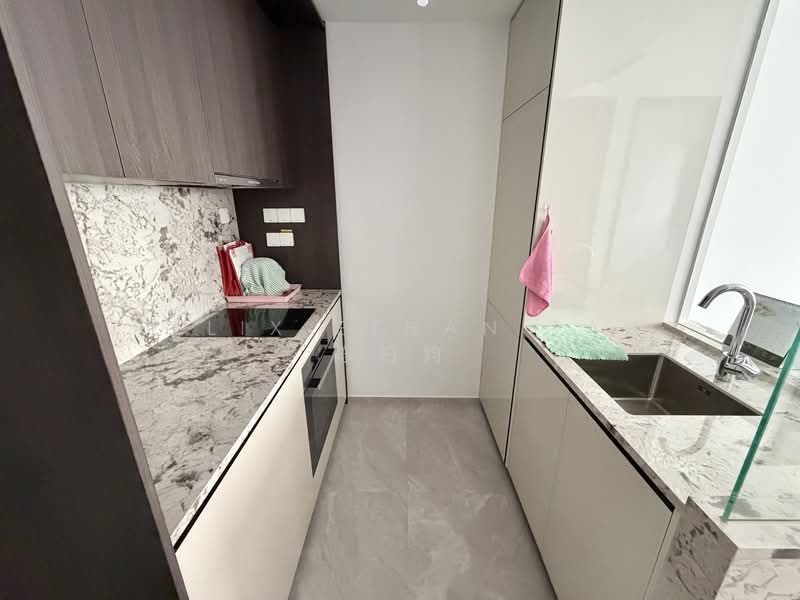 Tembusu Grand, 94 Jalan Tembusu, 2 Bedrooms, 667 sqft, Condominium For Sale, by Felix Ethan Tan 陈柏钧, 500116538 - Kitchen - PropertyGuru.com.sg