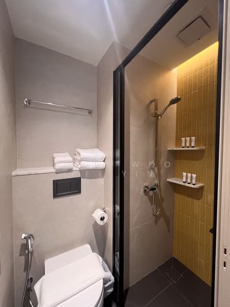 Ensuite Bedrooms For Lease In Various Locations!, , Room Rental, 100 sqft, Apartment For Rent, by Delia Woo Pei Yin, 500116977 - Bathroom - PropertyGuru.com.sg