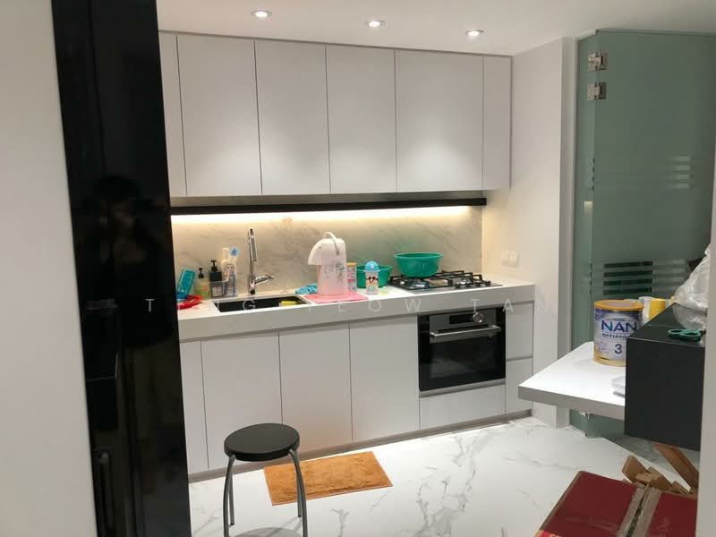 Valley Park, 473 River Valley Road, 4 Bedrooms, 1,808 sqft, Condominium For Sale, by Teng Yeow Tan, 500117117 - Kitchen - PropertyGuru.com.sg