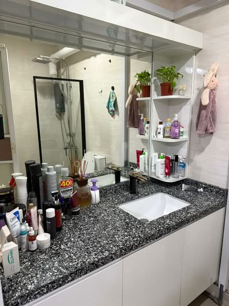 729 Tampines Street 71, 729 Tampines Street 71, 4 Bedrooms, 1,323 sqft, HDB Flat For Sale, by Jose Loh Zhenhao, 500117293 - Bathroom - PropertyGuru.com.sg