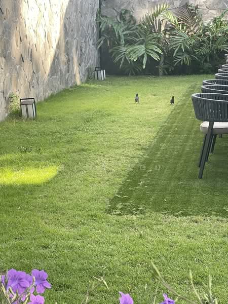 Kent Ridge Hill Residences, 52 South Buona Vista Road, 1 Bedroom, 474 sqft, Condominium For Sale, by Tina Zou, 500117474 - Exterior - PropertyGuru.com.sg