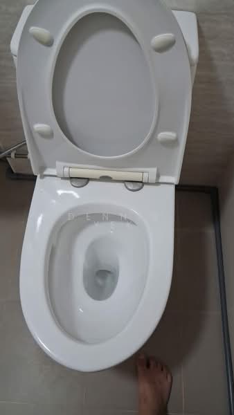 934 Jurong West Street 91, 934 Jurong West Street 91, Room Rental, 150 sqft, HDB Flat For Rent, by Dennis Yek, 500117540 - Bathroom - PropertyGuru.com.sg