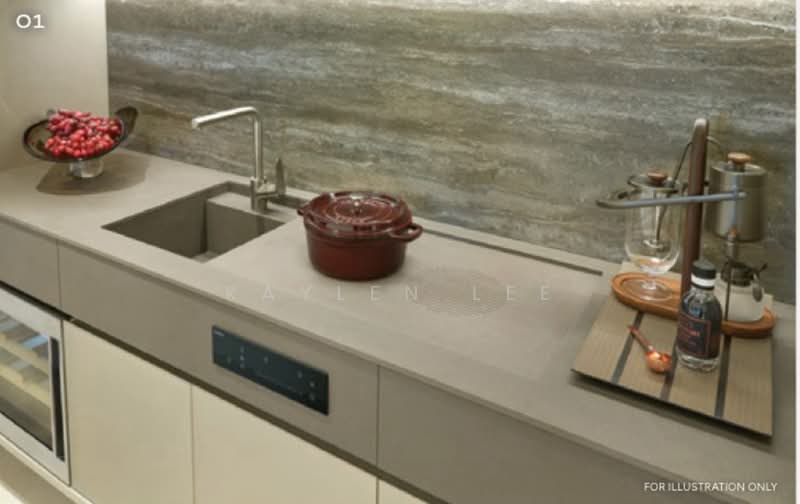 Union Square Residences, 28 Havelock Road,, 2 Bedrooms, 710 sqft, Condominium For Sale, by Kaylen Lee, 500117872 - Kitchen - PropertyGuru.com.sg