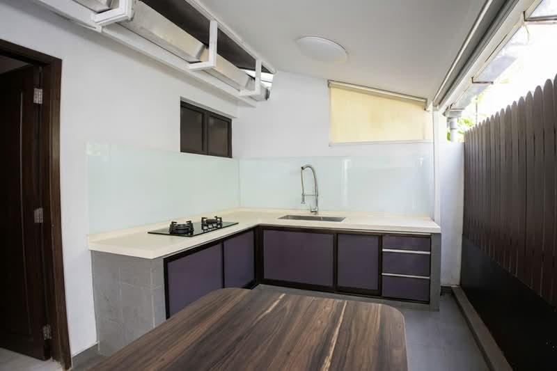 🦄 Rare Corner Terrace in Katong Area, Haig Road / Haig Lane / Haig Avenue, 4 Bedrooms, 3,200 sqft, Terraced House For Sale, by Sarah X. (郑雪梅), 500117906 - Outdoor Kitchen - PropertyGuru.com.sg