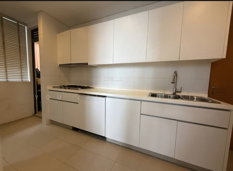 Skypark @ Somerset, 22 Saint Thomas Walk, 4 Bedrooms, 3,347 sqft, Apartment For Rent, by You Ziling Pudji, 500117937 - Kitchen - PropertyGuru.com.sg