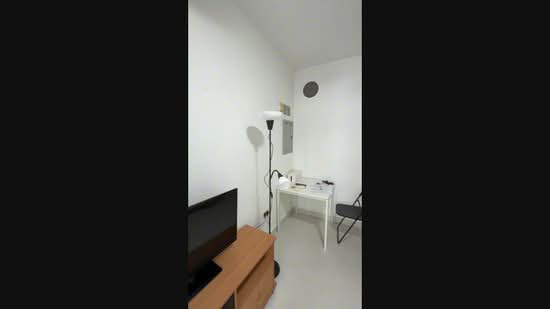 Loft @ Nathan, 31 Nathan Road, 1 Bedroom, 463 sqft, Condominium For Rent, by Kevin Soh Lee Wee 苏立伟, 500118176 - PropertyGuru.com.sg