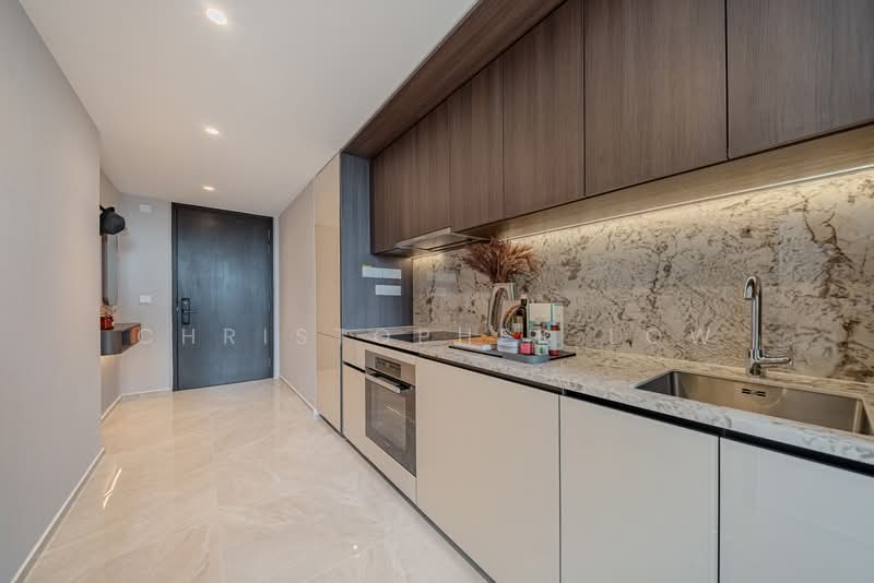Tembusu Grand, 94 Jalan Tembusu, 1 Bedroom, 527 sqft, Condominium For Sale, by Christopher Low, 500118504 - Kitchen - PropertyGuru.com.sg