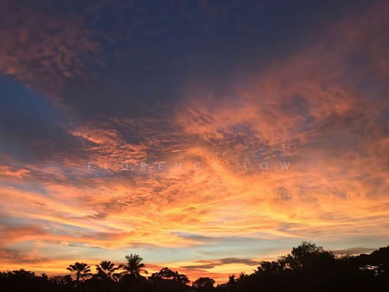 Sixth Avenue Apartment with Private Terrace and Garden, , 2 Bedrooms, 900 sqft, Apartment For Rent, by Florence Low, 500118598 - View from unit - PropertyGuru.com.sg