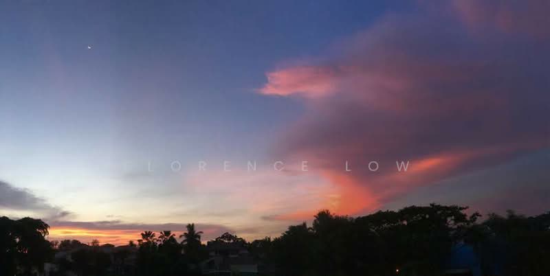 Sixth Avenue Apartment with Private Terrace and Garden, , 2 Bedrooms, 900 sqft, Apartment For Rent, by Florence Low, 500118598 - View from unit - PropertyGuru.com.sg