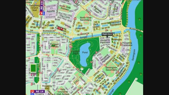 470A Upper Serangoon Crescent, 470A Upper Serangoon Crescent, Room Rental, 200 sqft, HDB Flat For Rent, by Alan Huy, 500119163 - PropertyGuru.com.sg