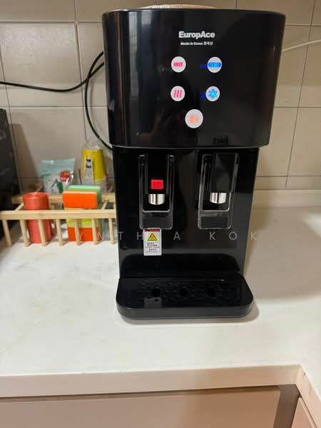 Carissa Park Condo, 2 Flora Drive, Room Rental, 180 sqft, Condominium For Rent, by Cynthia Kok, 500119267 - Kitchen - PropertyGuru.com.sg