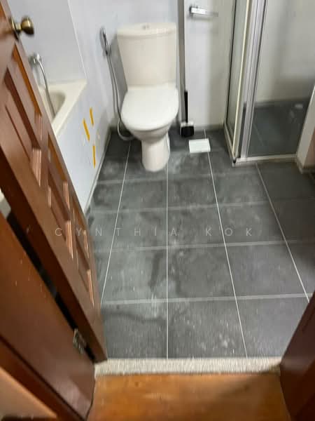 Carissa Park Condo, 2 Flora Drive, Room Rental, 180 sqft, Condominium For Rent, by Cynthia Kok, 500119267 - Bathroom - PropertyGuru.com.sg