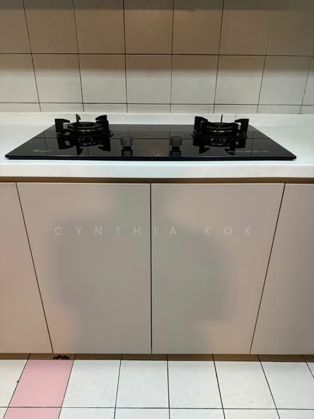 Carissa Park Condo, 2 Flora Drive, Room Rental, 110 sqft, Condominium For Rent, by Cynthia Kok, 500119276 - Kitchen - PropertyGuru.com.sg