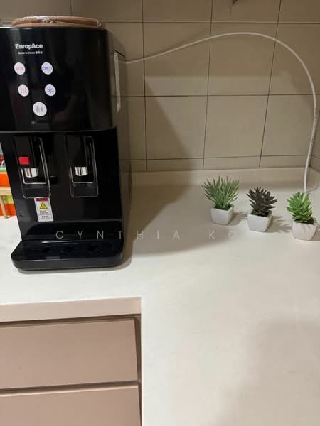 Carissa Park Condo, 2 Flora Drive, Room Rental, 50 sqft, Condominium For Rent, by Cynthia Kok, 500119338 - Interior - PropertyGuru.com.sg