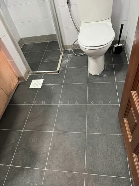 Carissa Park Condo, 2 Flora Drive, Room Rental, 50 sqft, Condominium For Rent, by Cynthia Kok, 500119338 - Bathroom - PropertyGuru.com.sg